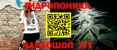 амф Ливны