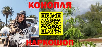 стаф Лесосибирск
