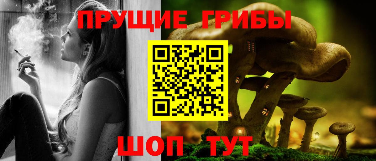 Кисловодск  Псилоцибиновые грибы Cubensis  Галлюциногенные грибы прущие грибы  продажа наркотиков  Вход с VPN 